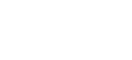 Rijschool Remi